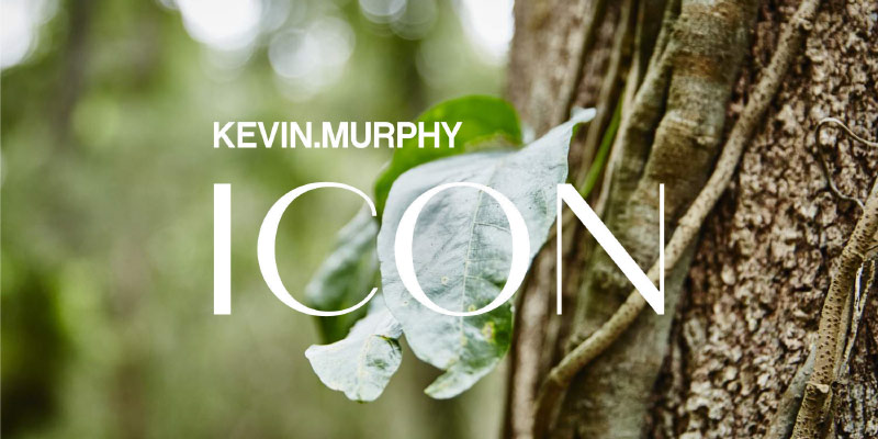 Kevin.murphy icon award